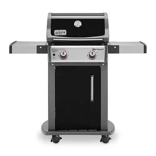 Weber 46110001 Spirit E-210 Gas Grill | Liquid Propane, 2-Burner | Black