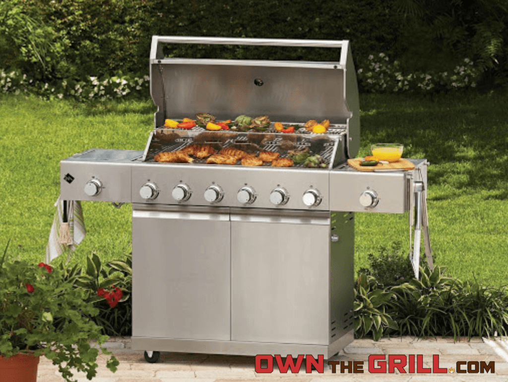 best 6 burner gas grill